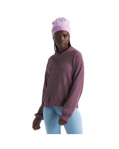The North Face Women's Chabot Hoodie, Mid Mauve
