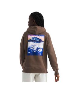 The North Face Women's Suspended Hoodie, Smokey Brown